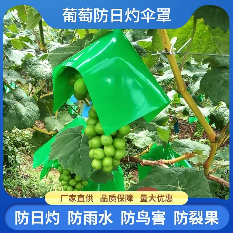 Special bag for grape umbrellas, sunshades, sun rose umbrellas, sun protection, sunburn protection, rain protection, and crack prevention.