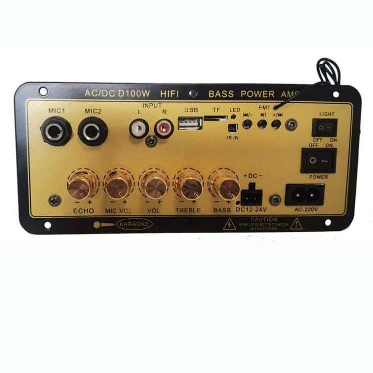 Gold D100W Amplifier Board Digital Card Three-in-One Car Amplifier with Reverb, Supports MIC Input 100W
