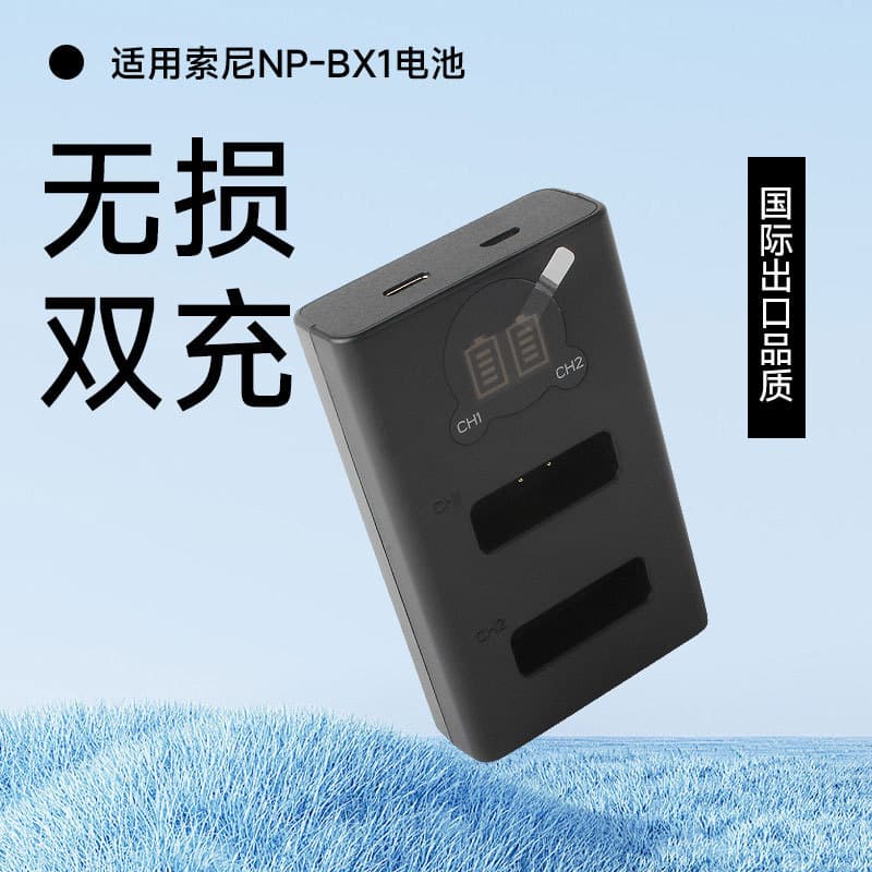 NP-BX1 Dual Charger for Sony RX1R RX100M5 M4 M3 CX405 WX350 X3000R