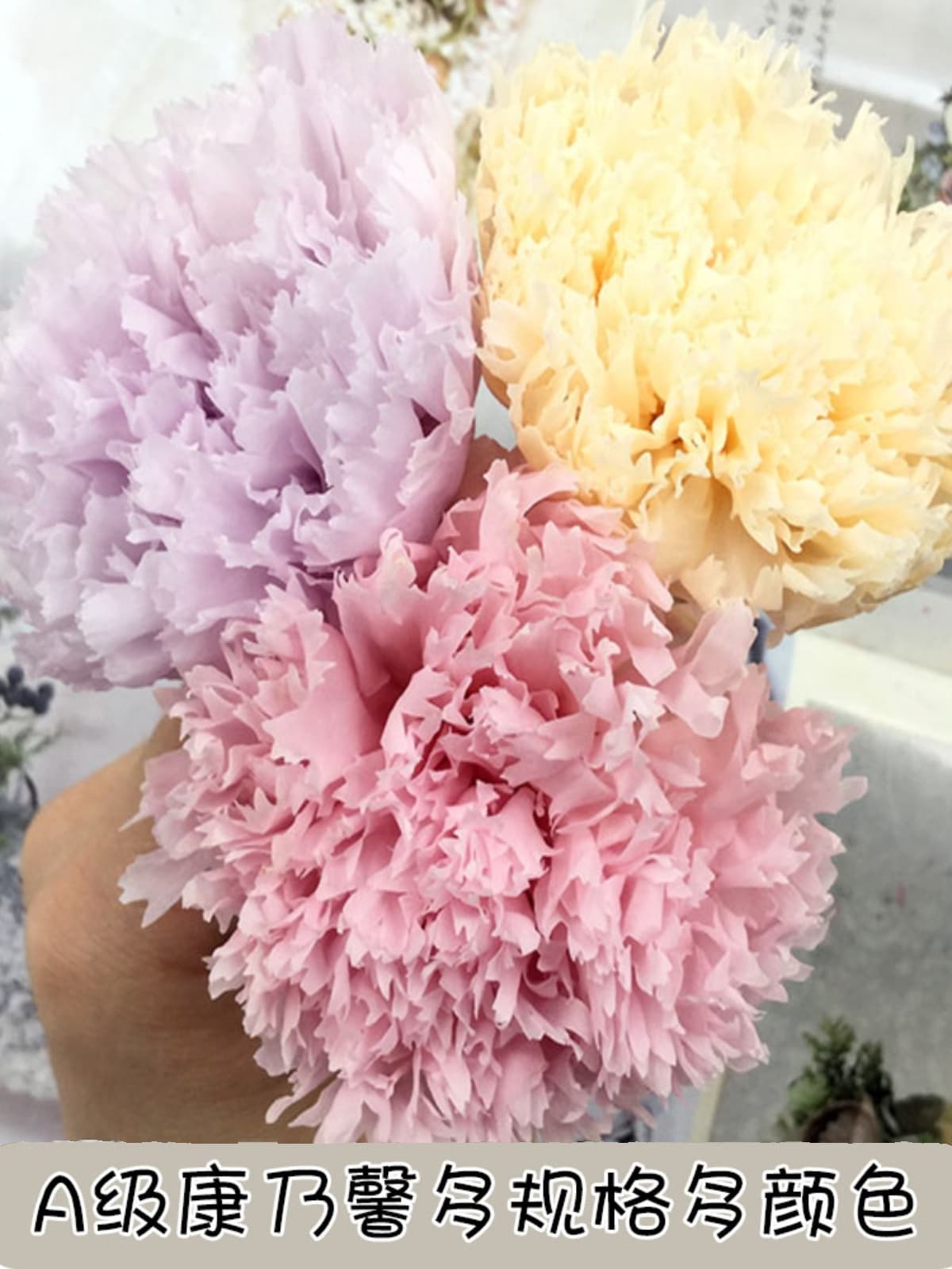 Preserved flower carnation 4-5-6cm Teacher's Day diy Mother's Day gift gift box car hanging photo frame glass cover rose