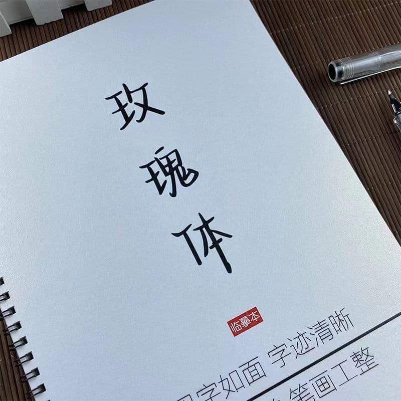 Rose Body Practice Copybook Composition Materials Beginning and Ending Novel Quotations Copybook of People's Daily Golden Sentences