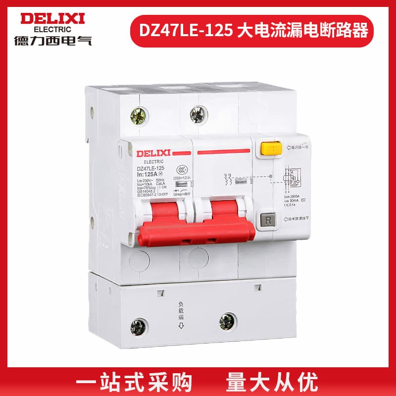 DZ47LE-125 2P 80A100A Delixi leakage protection circuit breaker high current plastic case circuit breaker