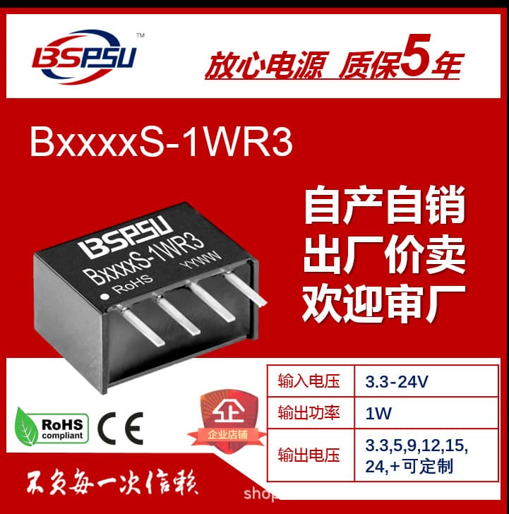 B2415S-1WR3 B2415S-1WR2 B2415S-1W Isolated Power Module 24V Single Output BSPSU