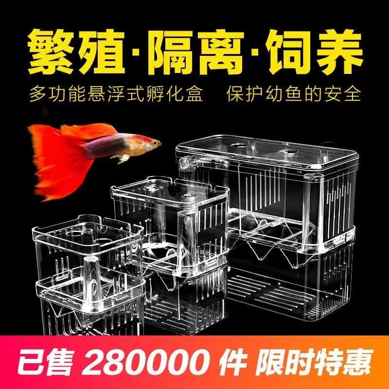 Fish tank hatching box for guppies and betta fish, isolation box for small fish tanks, fry and spawning device for aquariums, oxygenation and breeding box.