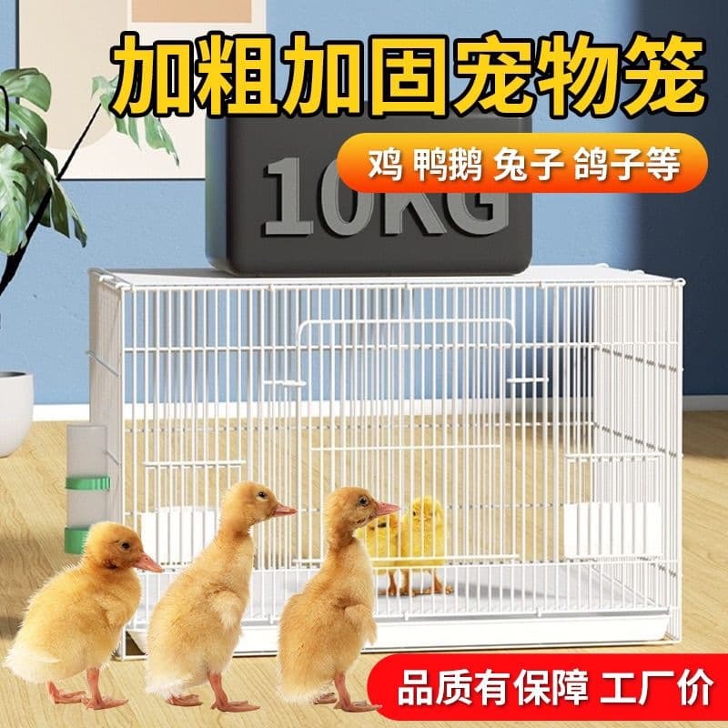 Special cage rabbit cage toilet duck cage household extra large indoor quail Dutch encrypted pig cage little duck