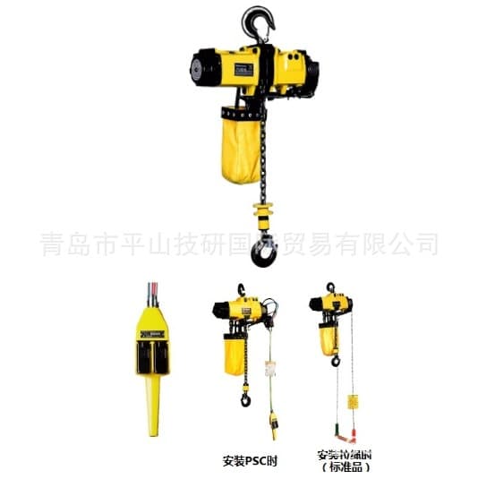 Japan ENDO Single Chain Balancer EHL-025TS