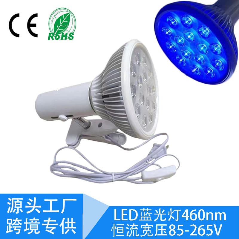 Amazon Hot Selling LED Blue Light PAR38 Bulb, Home Use 460nm Anti-Yellowing Compound Blue Light Bulb