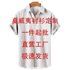 Hawaiian 3D Print Shirt Amazon Independent Station Bestseller Turn-down Collar Beach Short Sleeve Shirt Support Custom Design
