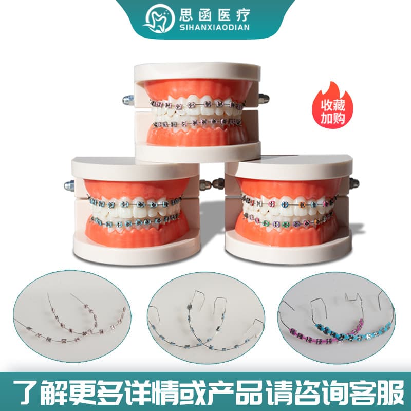 Oral Metal Bracket Model for Clinic Doctor-Patient Communication Display Dental Teeth Bracket Model