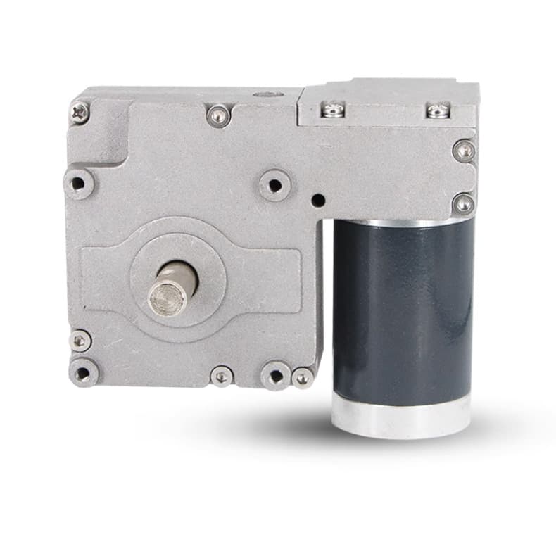 Worm Gear DC Reduction Motor 12V 4RPM High Torque, Dual Output Shaft in Stock