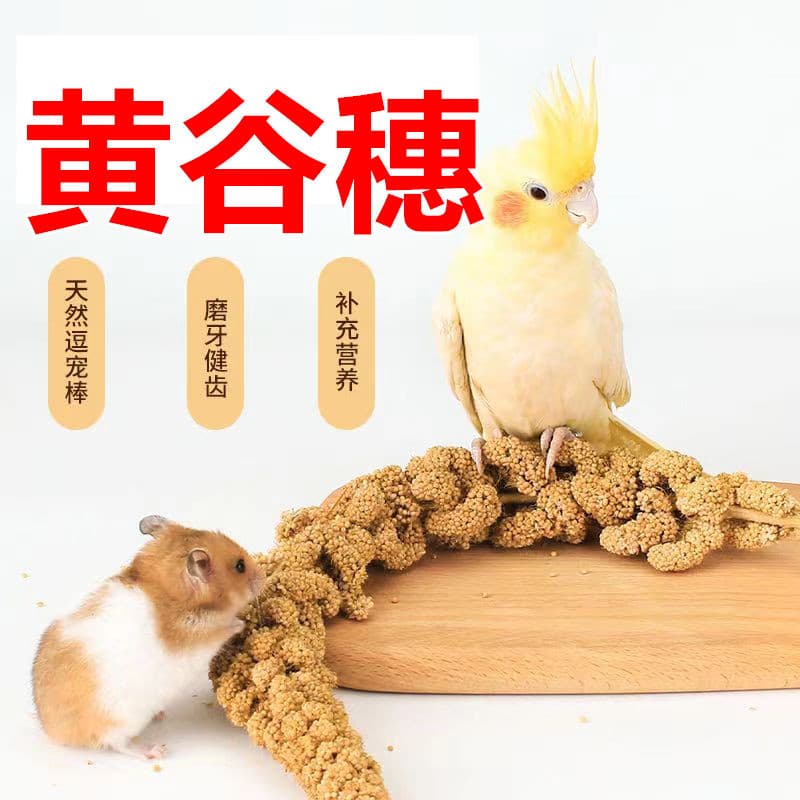 Parrot Snack Stick Grain Ear Wheat Ear Millet Bird Food Training Reward Small Snack Special for Budgies Cockatiels Lovebirds