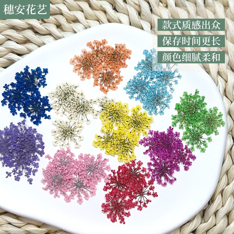 Dried Pressed Lace Flower Face Decoration, Pressed Flower Greeting Card Invitation Sticker, Parent-Child Pressed Flower Art, Snow Pearl Flower Resin Craft Pack