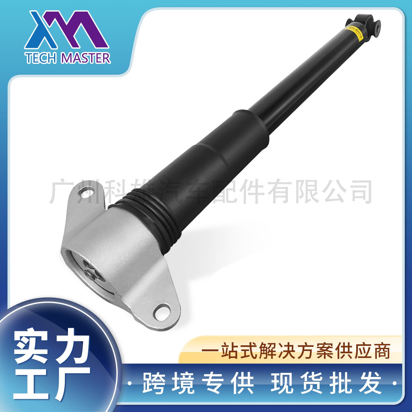 33526753057 Compatible with Land Rover Range Rover L322 Rear Shock Absorber Strut Factory Direct