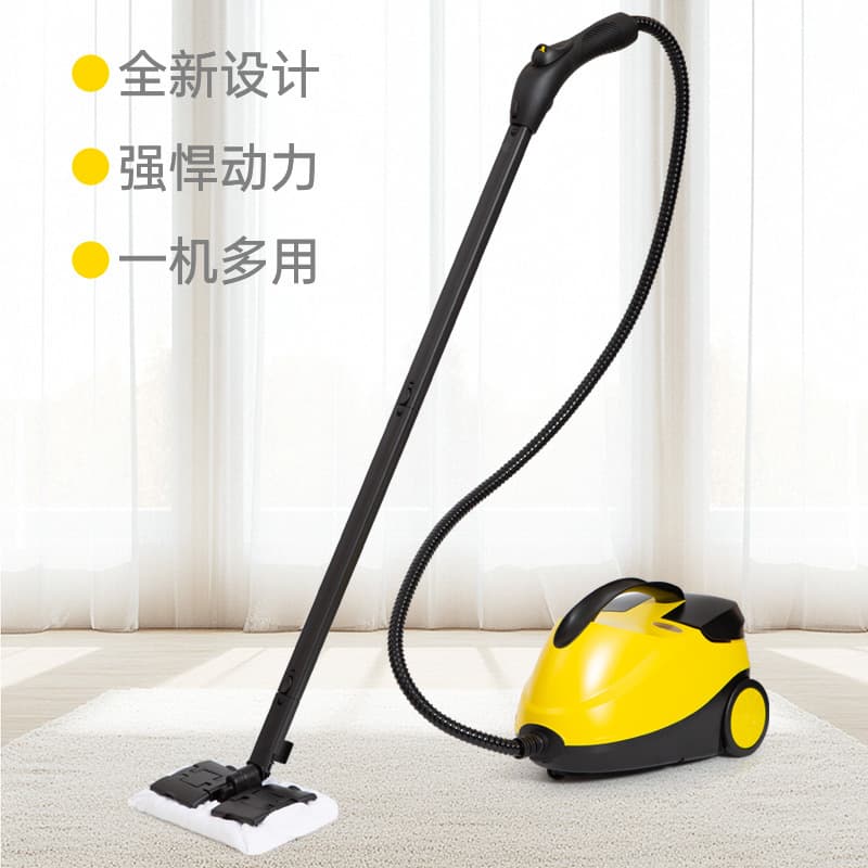 High Temperature Steam Cleaner Fumigation Machine High Pressure Washer Home Formaldehyde Kitchen Appliance Car Vinyl Wrap 110V