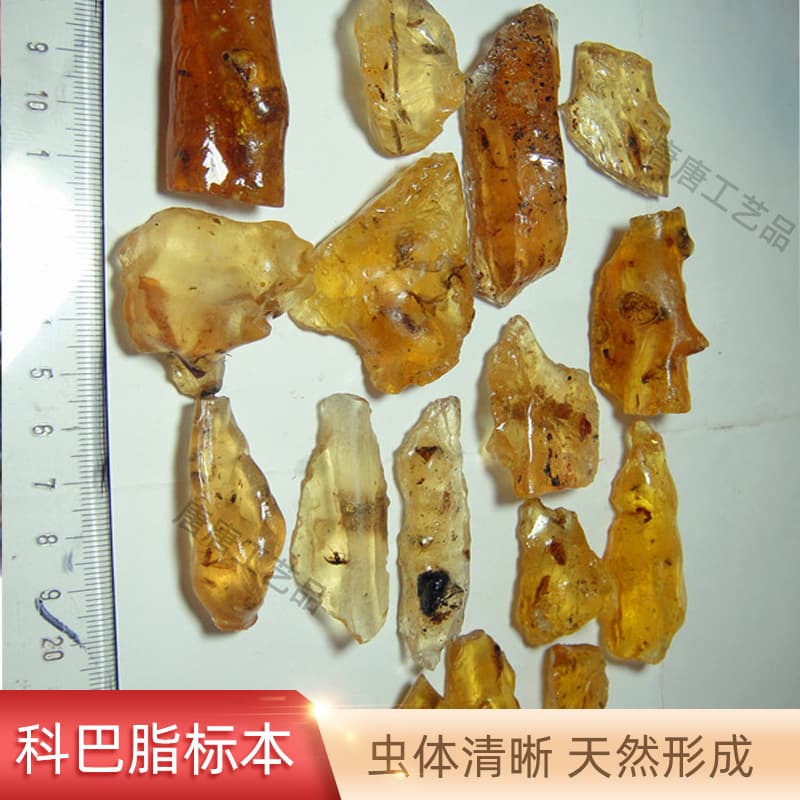 Insect-Infested Amber with Large Madagascar Amber Chunks, Raw Amber Material Specimen, Handmade Insect Amber