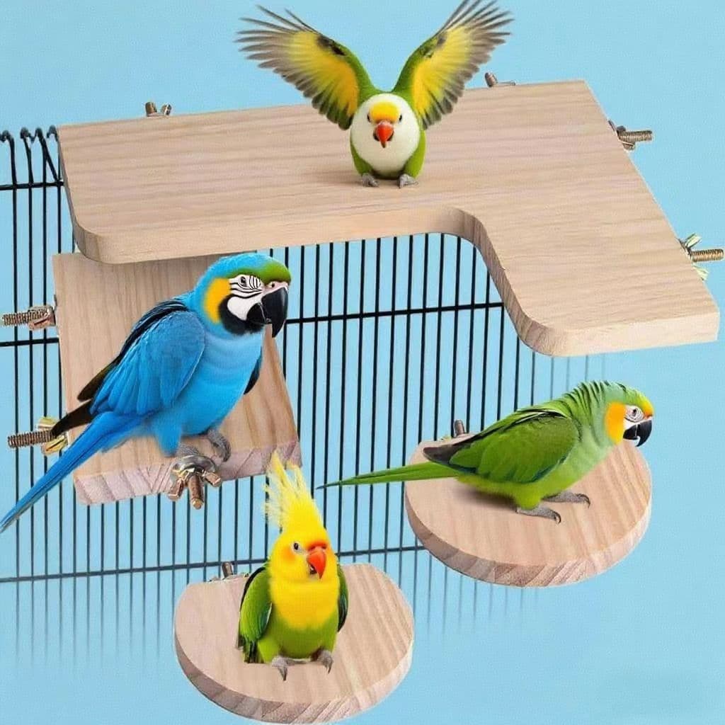 4-Piece Parrot Hamster Chinchilla Squirrel Sugar Glider Pedal Jump Board Platform Factory Wholesale