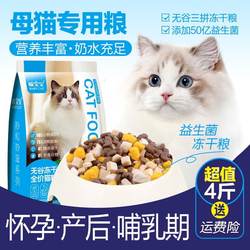 Mother Cat Food for Lactation and Pregnancy, Postpartum Nutritional Supplement for Nursing Cats