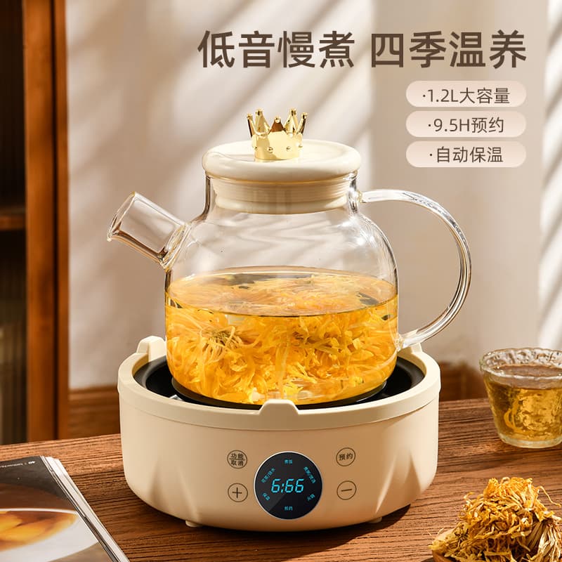 Home Smart Health Pot, Multi-function High Borosilicate Glass Tea Maker for Stewing and Brewing Flower Tea