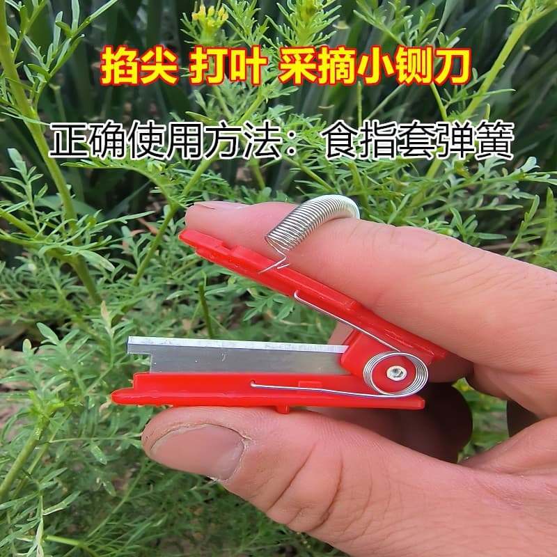 Cross-border Harvesting Small Pruning Knife Thumb Knife for Vegetables, Beans, Cucumbers Grape Pinching, Tendril Trimming, Leaf Cutting Knife