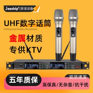 True Diversity Wireless UHF Microphone Set One-to-Two Anti-Howling Professional Stage Wedding Performance Home KTV Microphone