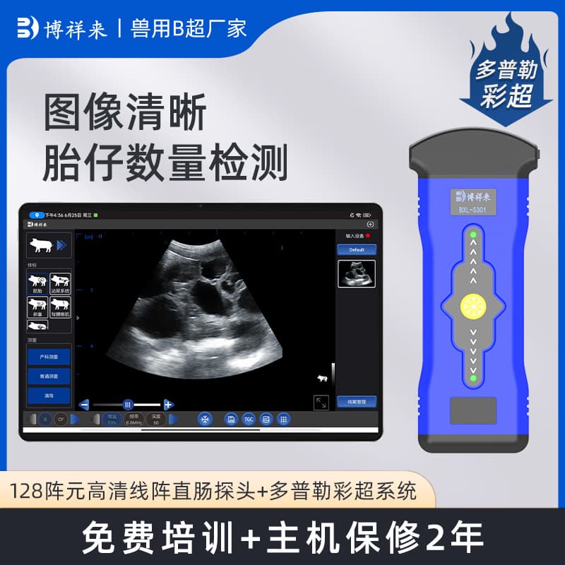 Pig Follicle Development Detection, Sow Follicle Size Measurement Instrument, Estrus Detection B-Ultrasound Machine by Boxianglai Intelligent B-Ultrasound