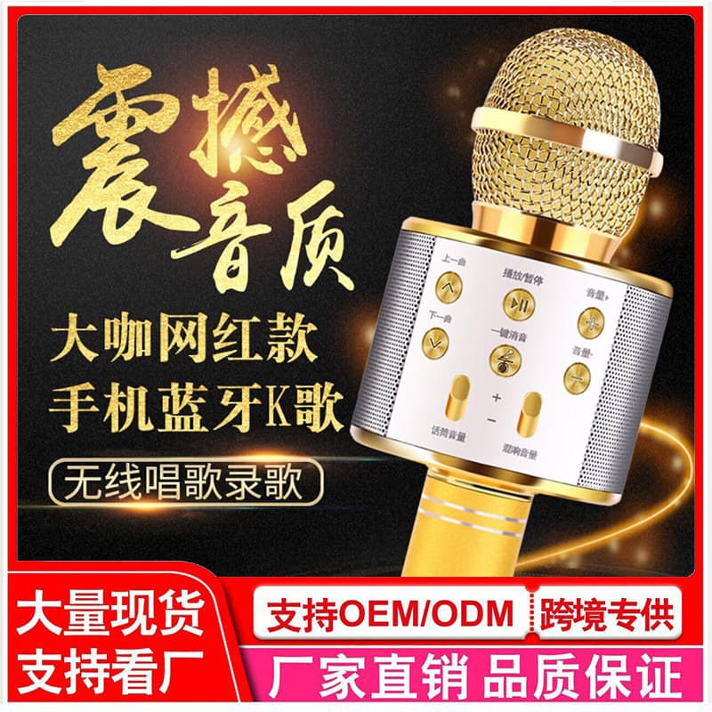 Microphone KTV Karaoke Wireless Bluetooth Speaker for TV Phone Singing 858