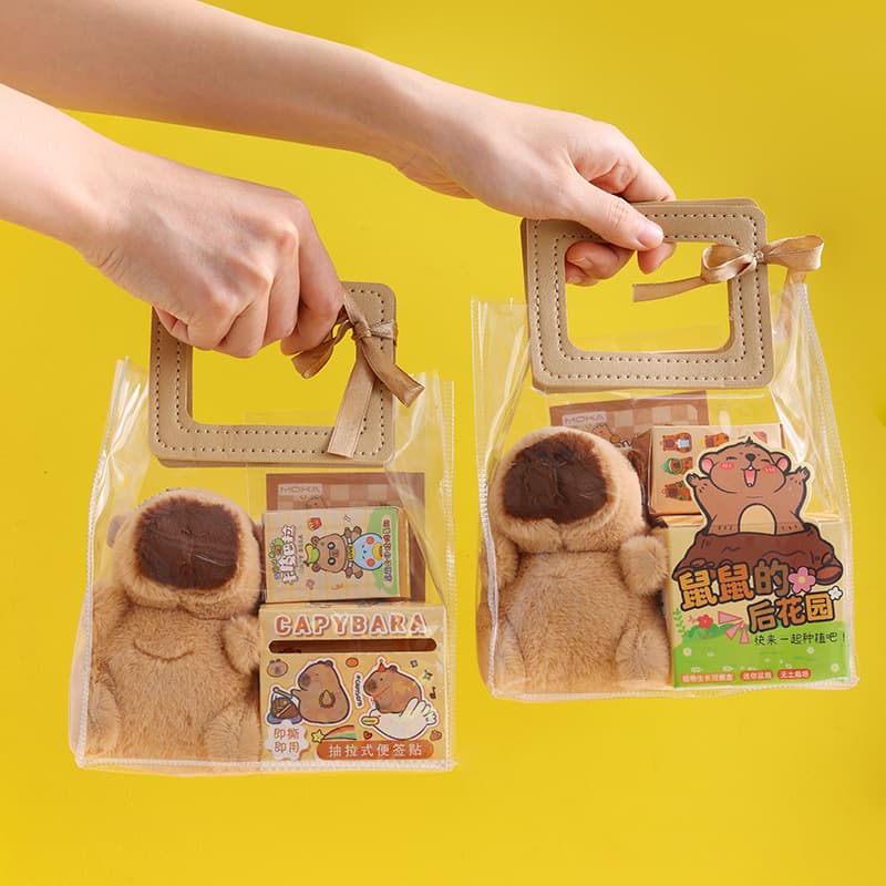 Graduation Gift Gift Box Capybara Stationery Set End-of-Term Student Reward Small Gift Children's Birthday