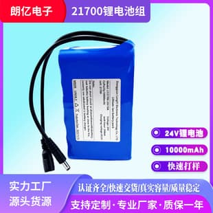 Custom Samsung 21700 Lithium Battery 24V 10000mAh High Capacity Power Battery Pack 21700 Rechargeable Battery