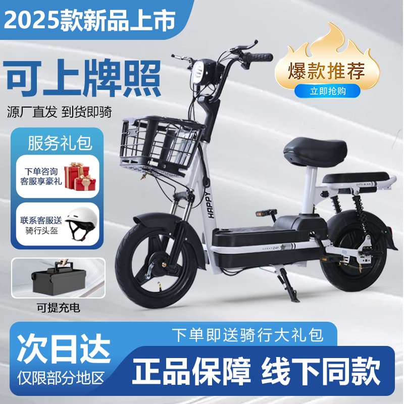 New National Standard Electric Bicycle Lithium Battery E-bike Two-Person Scooter Small Household Commuter