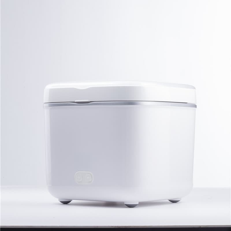 Professional Beauty Fridge for Skincare Masks and Cosmetics Mini Smart Constant Temperature Preservation