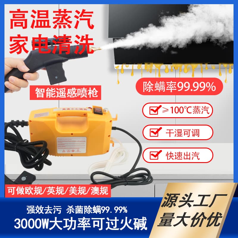 High-temperature, high-pressure mobile steam cleaner for kitchen grease and air conditioner cleaning, 3000W disinfection tools wholesale.
