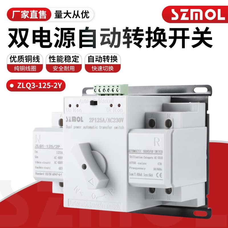 ATS Automatic Transfer Switch Dual Power Auto Switch, Home Mini, Mains 220V, Export Model
