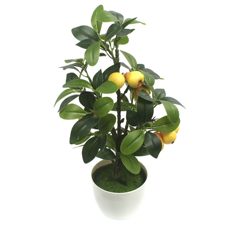 Simulated fruit apple pear green plant mini potted persimmon tree cherry tree orange tree mango tree manufacturer