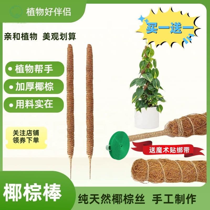 Buy One Get One Free Handmade Natural Coir Stick Bendable Shape Monstera Pothos Support Fixed Palm Pole