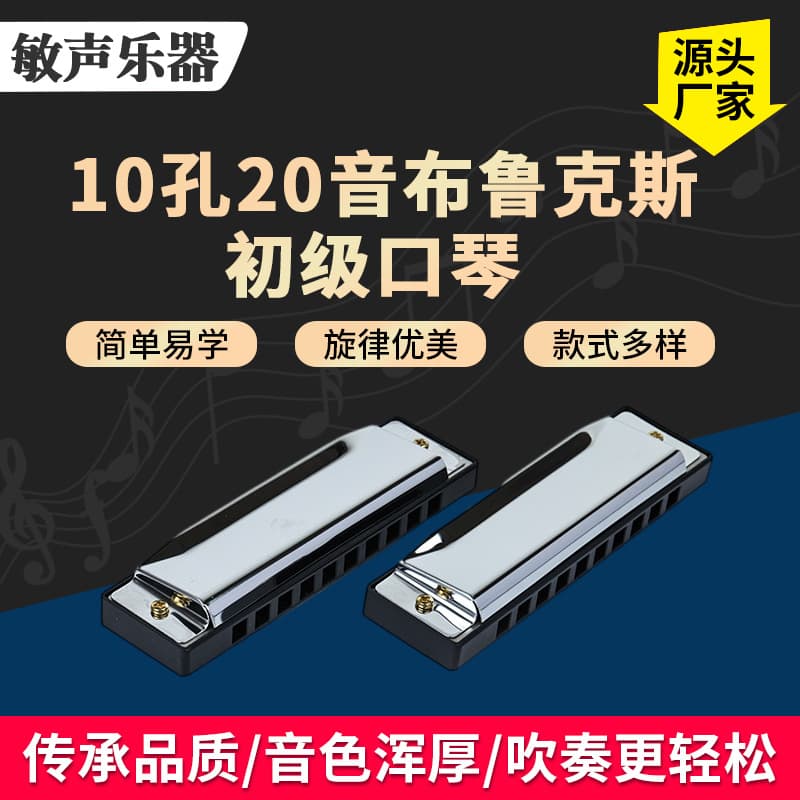 Children's beginner student performance self-study entry ten-hole blues beginner harmonica 10-hole 20-note C key