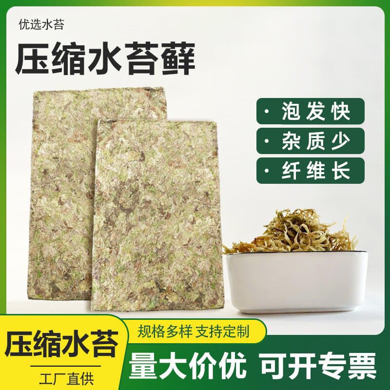Compressed Sphagnum Moss for Phalaenopsis, Succulents, Planting, Reptile Bedding, In Stock