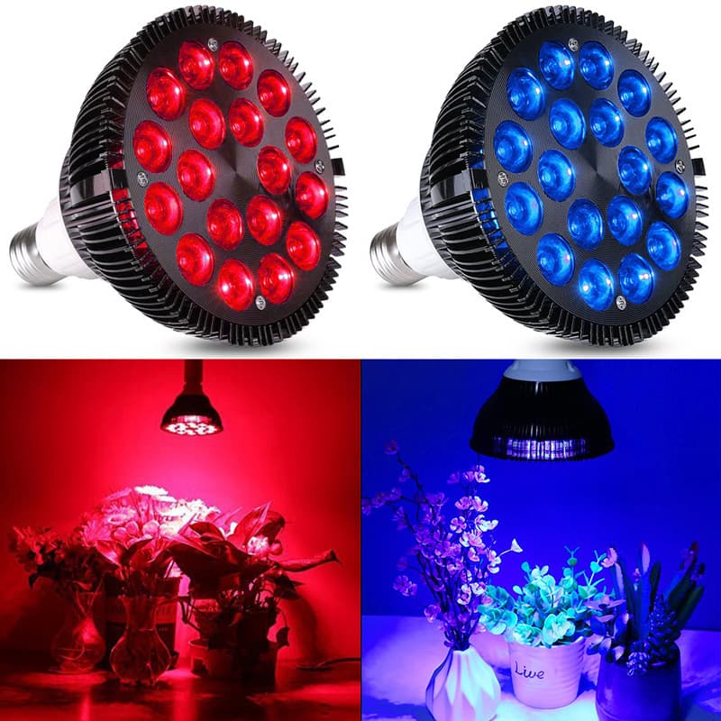 Export Supply PAR38 Infrared Therapy Lamp Red Light Blue Light 18W 36W LED Plant Growth Supplemental Lighting Spotlight