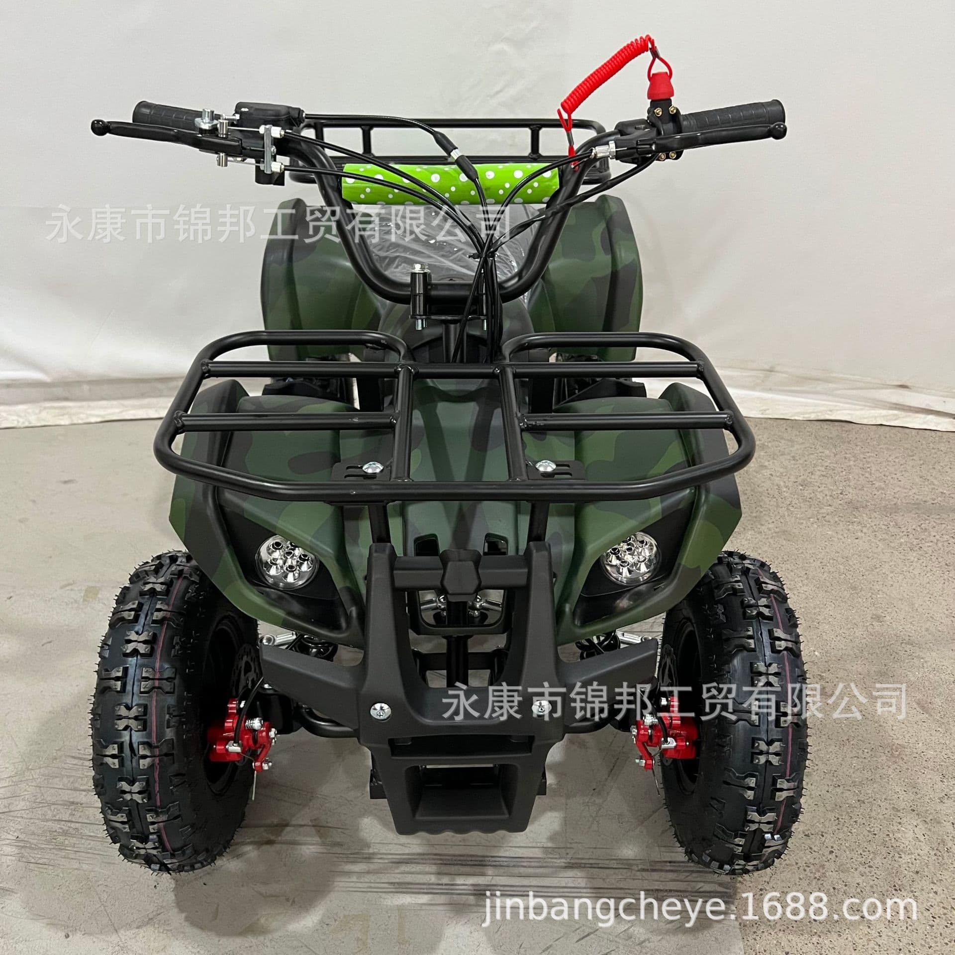 Mini Off-Road ATV 49cc Gas Powered Kids Quad Bike 2-Stroke Small Dune Buggy