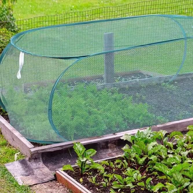 Horticultural Insect Protective Cover: Fine mesh provides all-around protection, aiding in the healthy growth of flowers and seedlings.