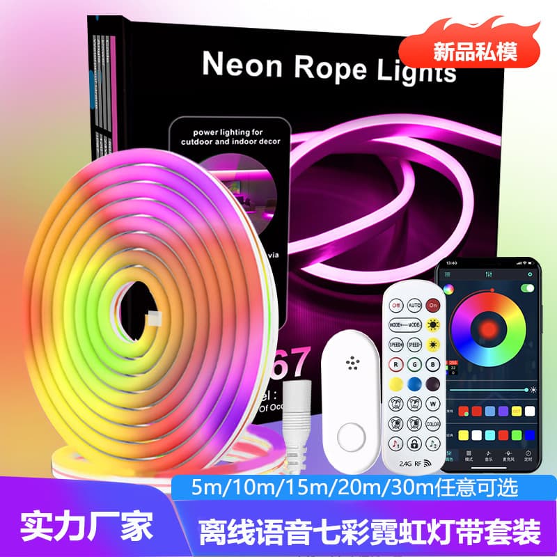 Offline Voice Control RGB Smart Bluetooth 2.4G Flexible Outdoor Neon Light Strip 30M Set Customizable Decorative Atmosphere Lamp Strip