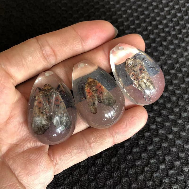Selected Insect Amber Specimen Scorpion Cicada Blind Box Children's Gift Educational Excavation Archaeology Pendant Accessory