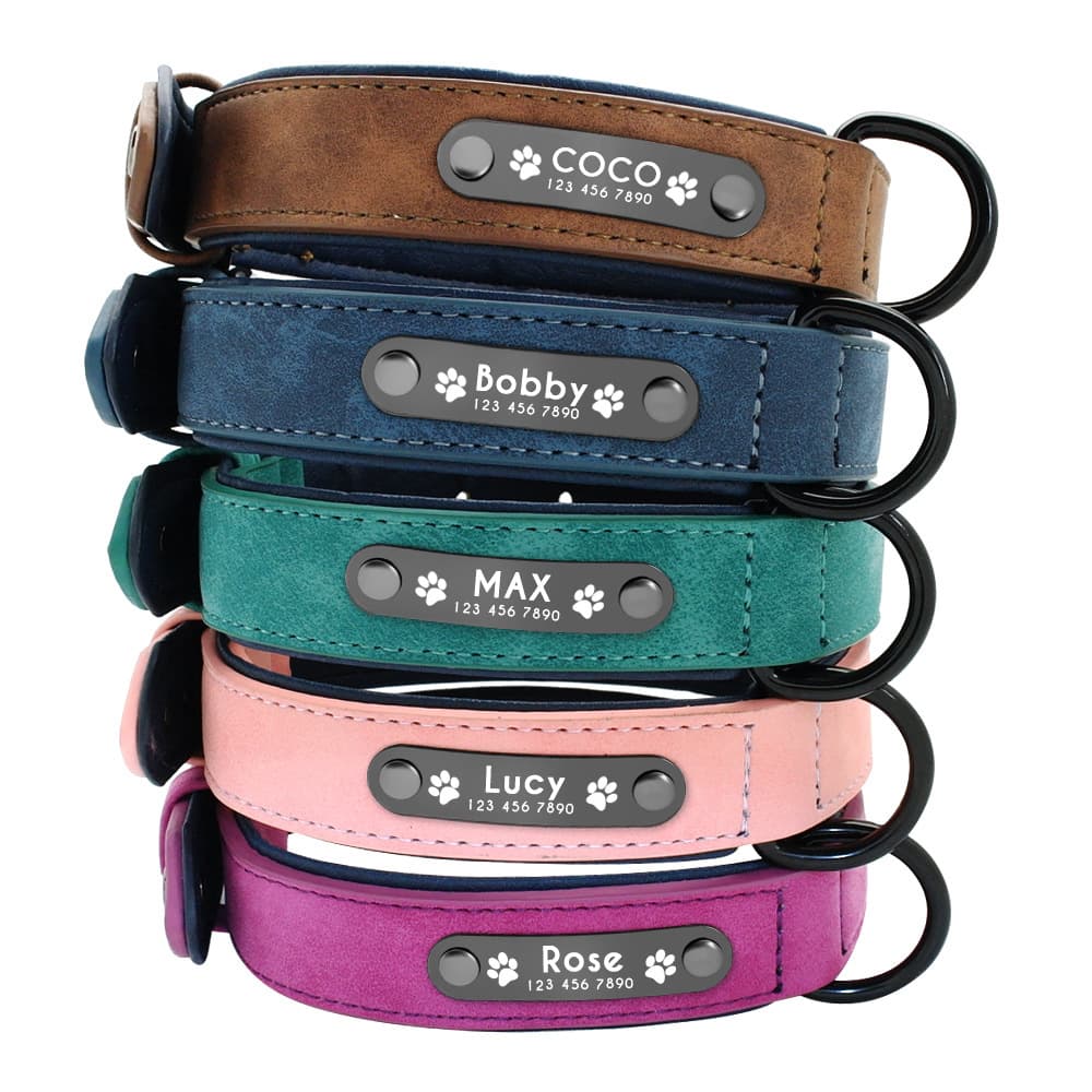 Dog collar frosted anti-lost Husky small large dog puppy pet Alaskan collar collar