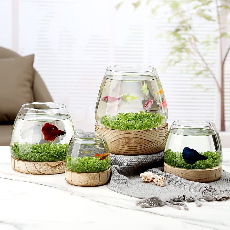 Small glass fish tank, thickened log holder, office home transparent betta fish tank, living room ecological small goldfish tank