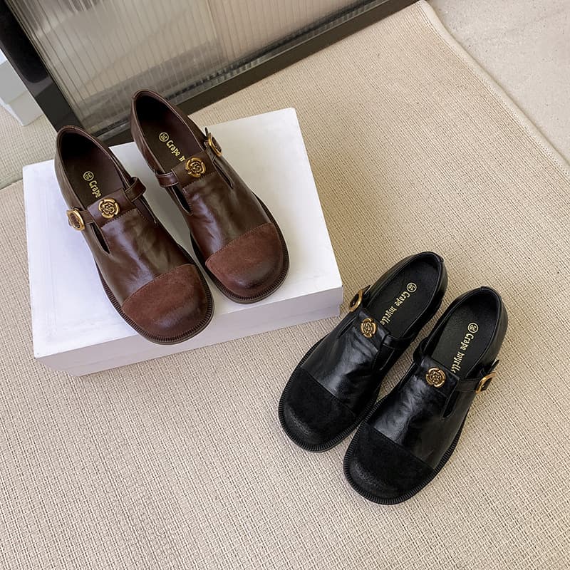 Brown Leather Mary Jane Shoes Spring Autumn Winter Low Heel Single Shoes Small Leather Shoes Trendy Women's Flats Retro T-Strap