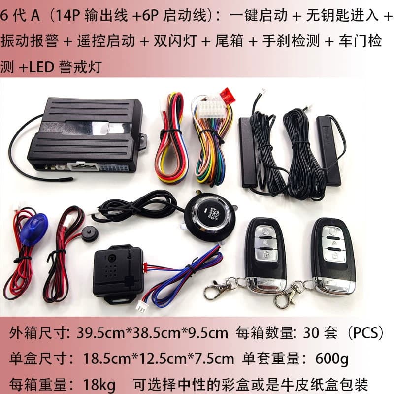 6A Export Version: One-Key Start Keyless Entry + Remote Trunk Release + Vibration Alarm Dual Flash Central Locking