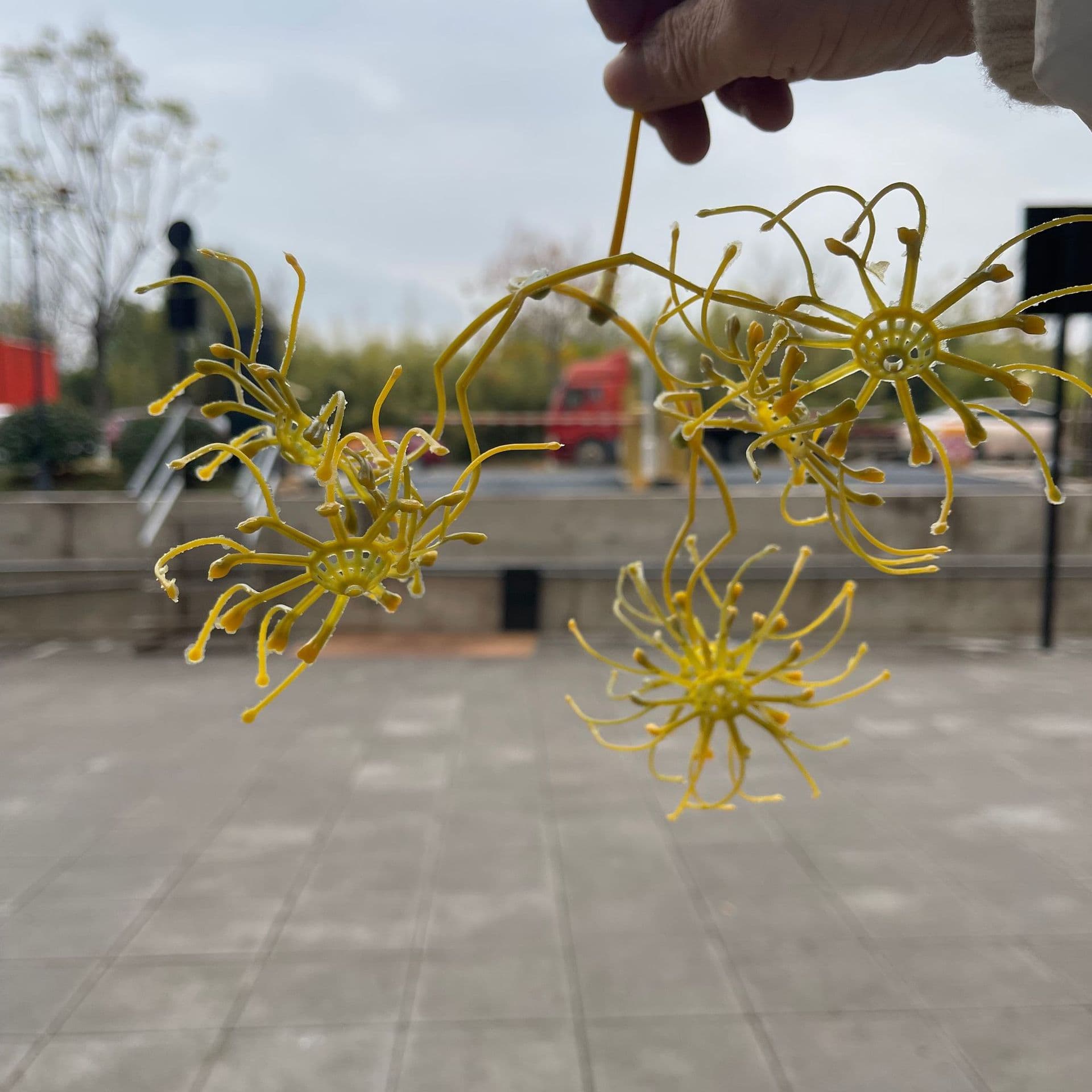 Simulated Small Chrysanthemum Wild Chrysanthemum Cosmos Core Flower Base Back Cover DIY Handmade Chrysanthemum Accessories