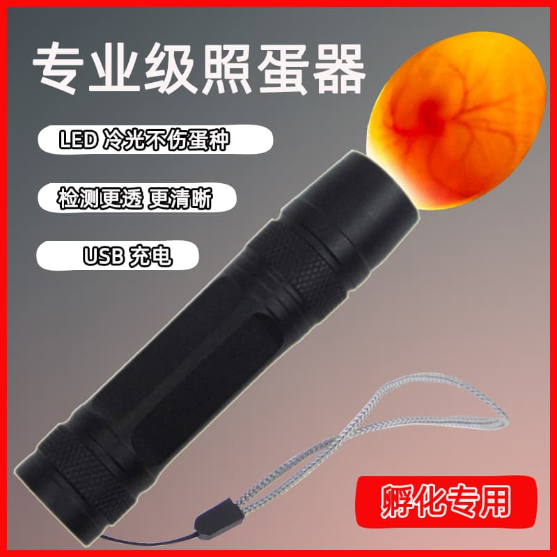 Rechargeable LED Egg Candler for Incubator, Small Egg Tester for Fertility Check of Quail Eggs