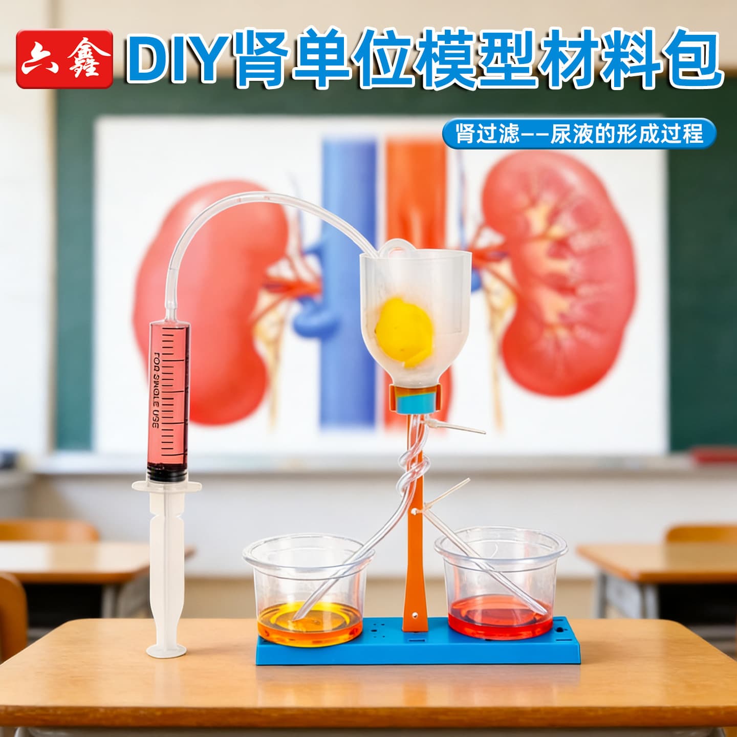 Scientific experiment diy nephron model renal filtration technology small production simulation urine formation process materials