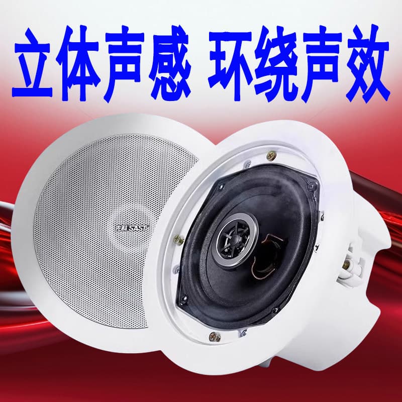 SAST S1 Ceiling Speaker Flush Mount Coaxial In-Ceiling Speaker for Home and Store Public Address