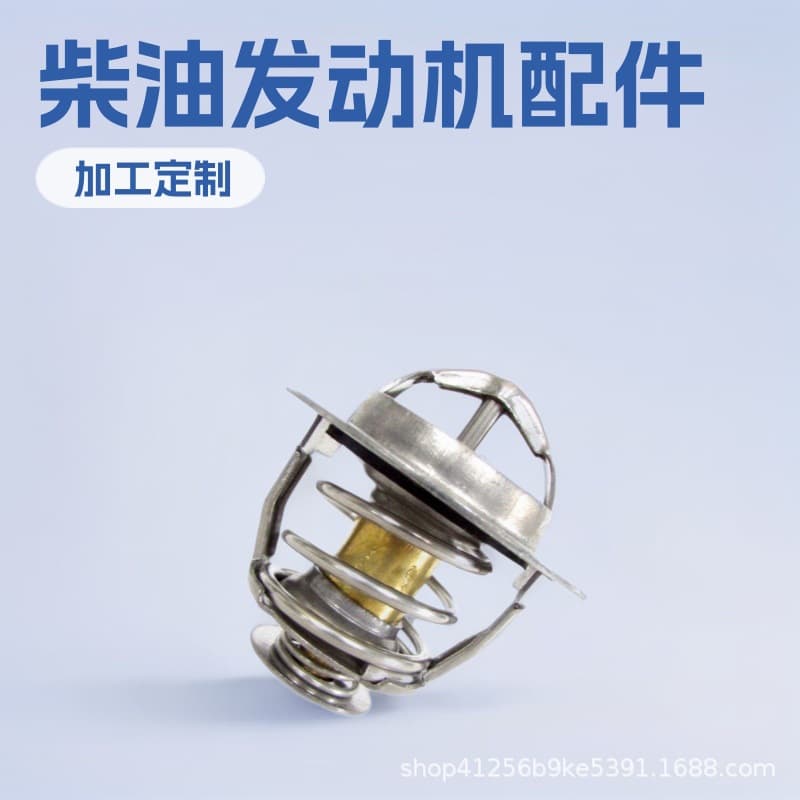 Thermostat Direct from Manufacturer for Isuzu Ford Transit Great Wall Haval 493Q1306010